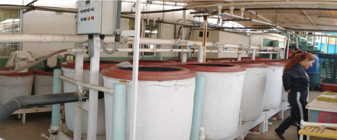 工業(yè)物聯(lián)網(wǎng)關(guān)