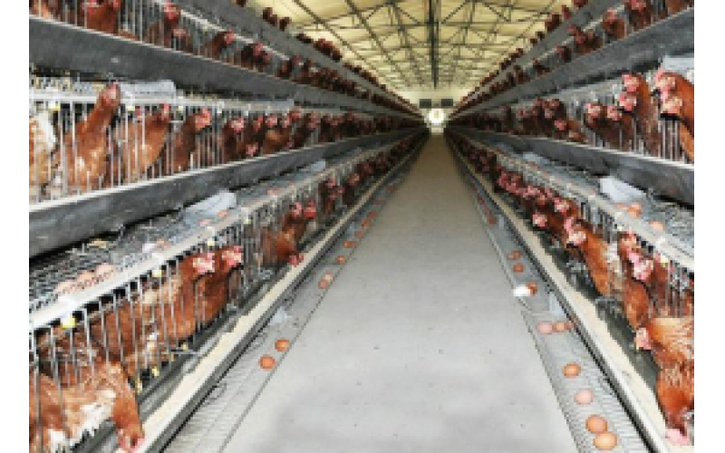 養(yǎng)殖業(yè)智能監(jiān)控解決方案