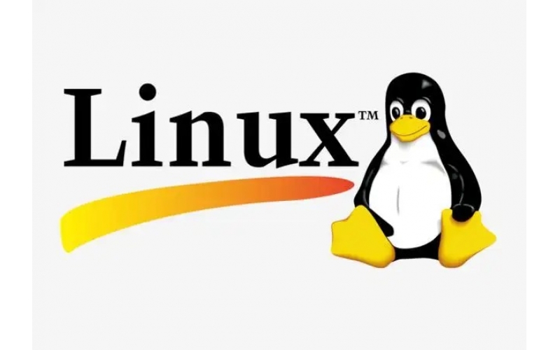 Linux一共有多少個版本？